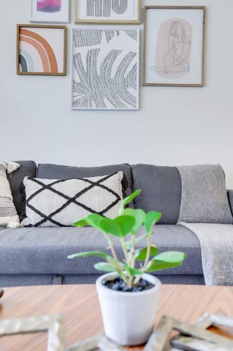 Bright Apartment Walk To Ballston Metro أرلنغتون المظهر الخارجي الصورة